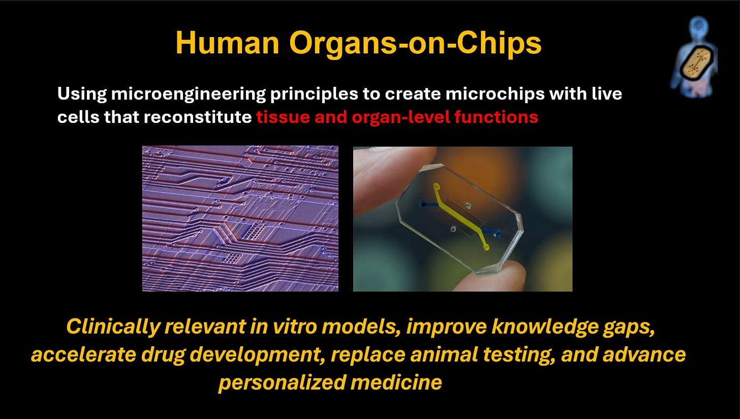 International Women's Month: Women in Tech Resources | What I Wish I Knew About Fertility - Resources (AthenaDAO and Bioprinting the Future of Reproductive Health) | Design + Web3 ⛓️ Books